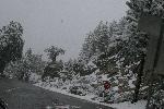 IMG_1361.JPG