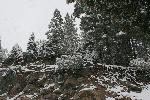 IMG_1362.JPG