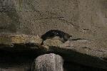 IMG_7754.JPG