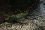 IMG_7935.JPG