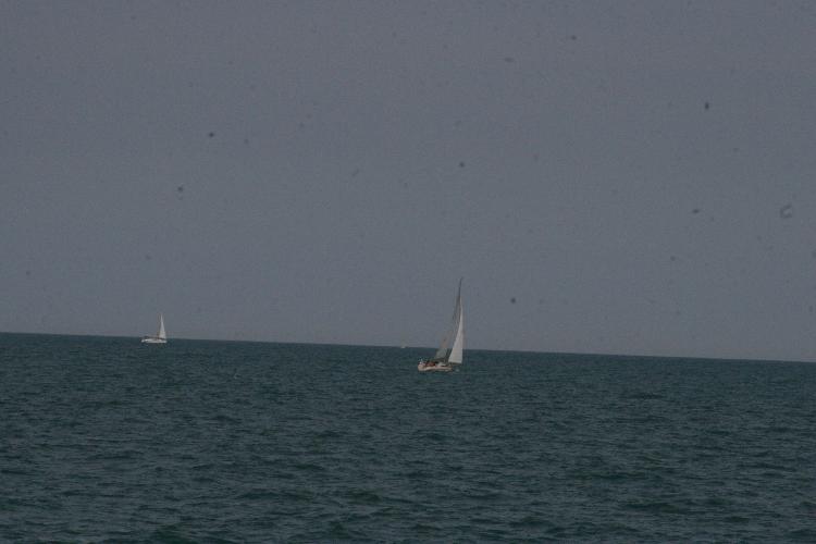 IMG_7954.JPG