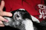 IMG_6585.JPG