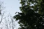 IMG_7394.JPG