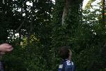 IMG_7492.JPG