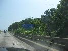 IMG_1266.JPG