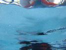 IMG_1287.JPG