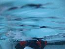 IMG_1288.JPG