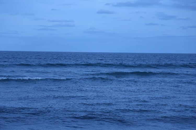 778C0365.JPG