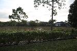 778C0383.JPG