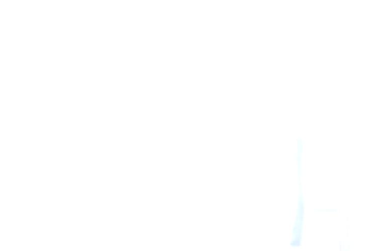 778C0457.JPG