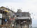 IMG_0242.JPG