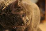 IMG_2816.JPG
