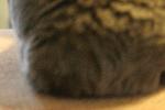 IMG_2819.JPG