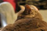 IMG_2822.JPG