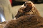 IMG_2823.JPG