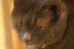 IMG_2825.JPG