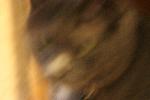 IMG_2827.JPG