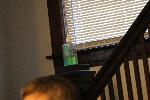 IMG_2856.JPG
