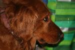IMG_2731.JPG