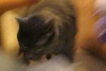 IMG_2789.JPG