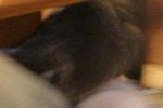 IMG_2790.JPG