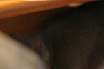 IMG_2791.JPG