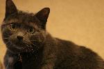 IMG_2792.JPG