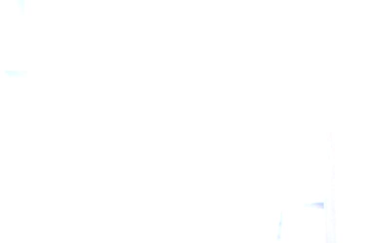 778C0455.JPG