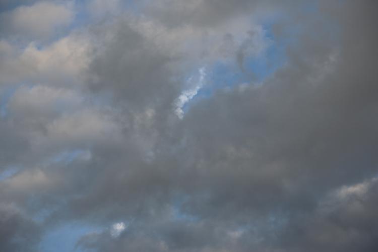 778C2736.JPG