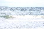 778C2743.JPG