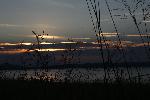 778C2257.JPG