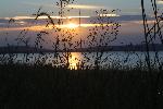 778C2264.JPG