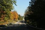 778C2317.JPG