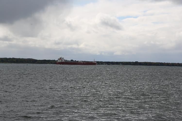 778C0445.JPG