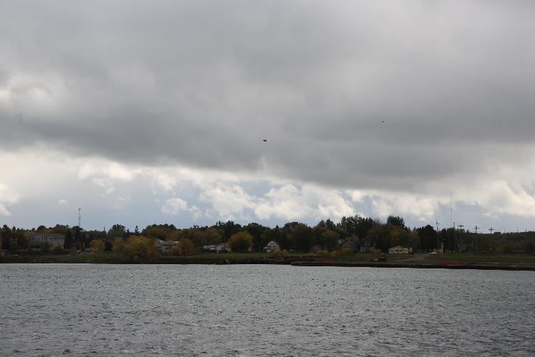778C0498.JPG