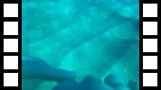 20150105_235204A.mp4