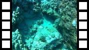 20150106_001213A.mp4