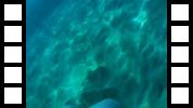 20150106_002016A.mp4