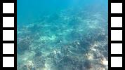 20150106_002418A.mp4