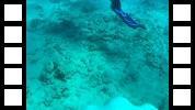 20150106_015931A.mp4