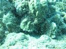 IMG_2130.JPG