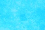 IMGL0940.JPG