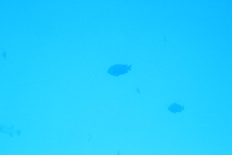 IMGL0946.JPG