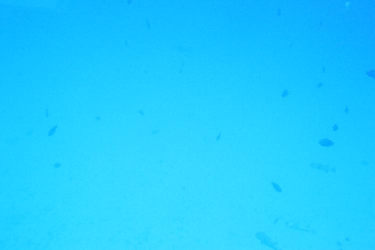 IMGL0947.JPG