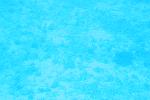 IMGL0948.JPG