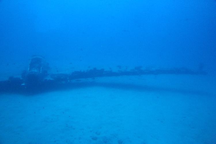 IMGL0963.JPG