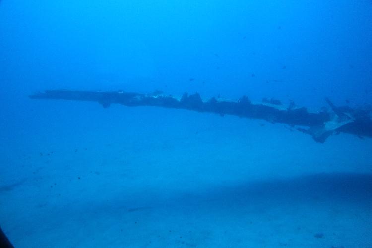 IMGL0966.JPG