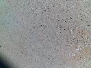 100_0443.JPG