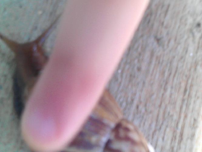 100_0445.JPG