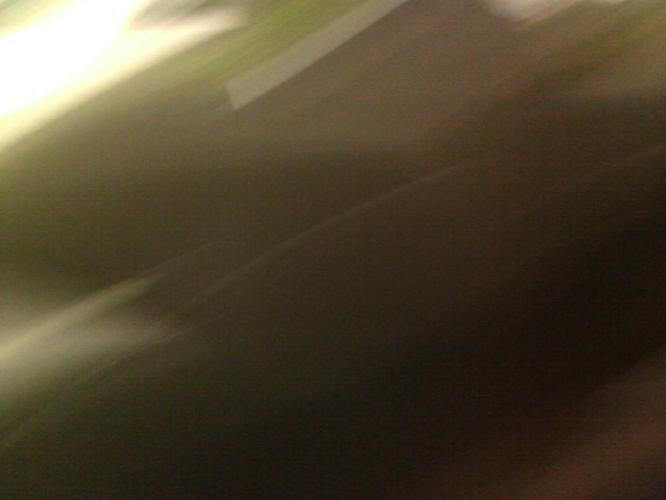 100_0579.JPG